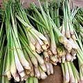 lemon grass