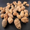 nut grass