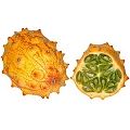 horned melon