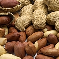 peanuts
