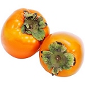 persimmon