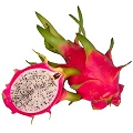 dragonfruit
