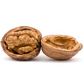 walnut
