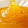 honey