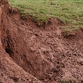 soil minerals