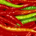 red pepper
