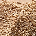 sesame