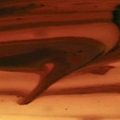ambermax