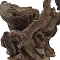 driftwood