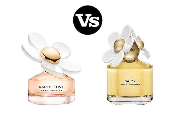 Marc Jacobs Daisy Original vs Daisy Love Perfumer's Verdict