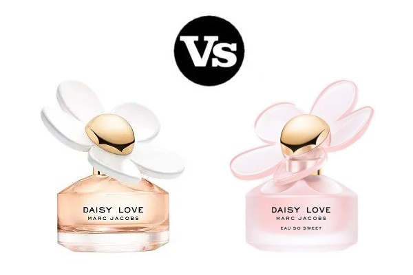 Daisy Love or Daisy Eau So Sweet Your Scent Guide