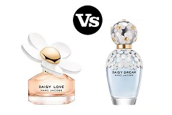 Daisy Love Meets Daisy Dream Finding your Fragrance