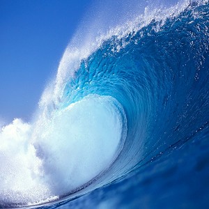 Aromatic Aquatic