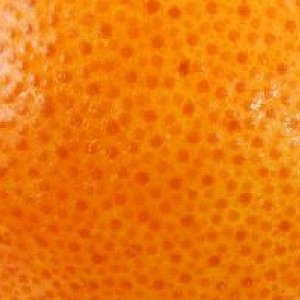 Citrus Woody