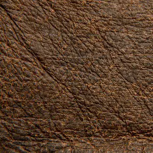 Woody Spicy Leather